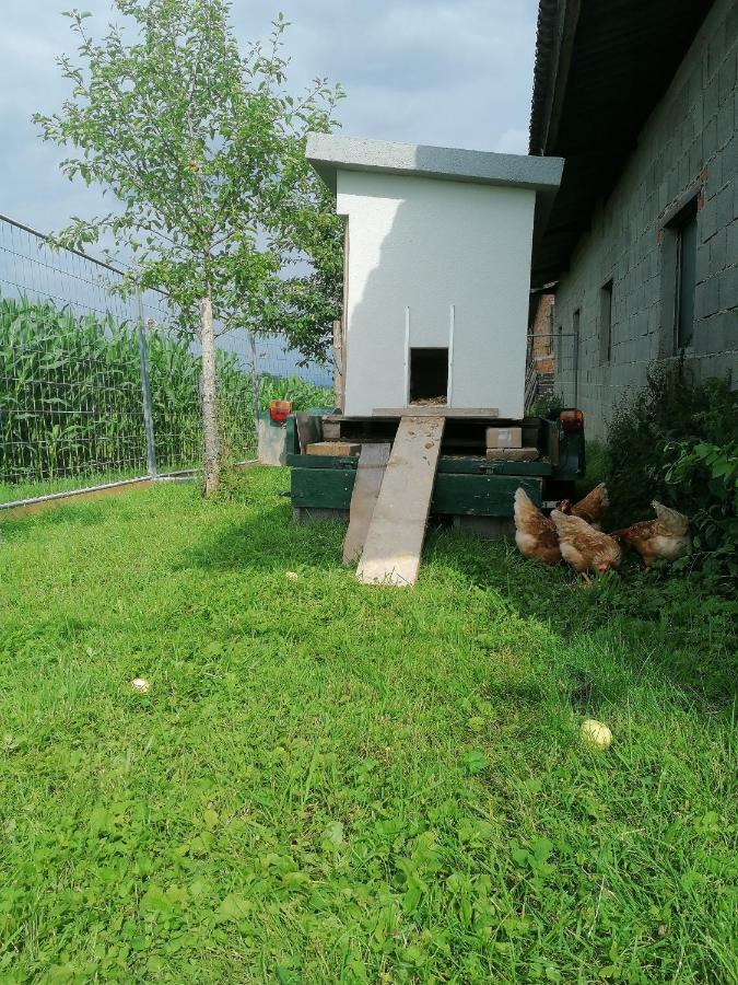 Grafhaidergut - Auszeit Am Land Wartberg an der Krems Exteriör bild